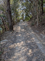 青少年国際交流センター