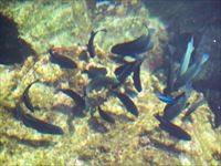 伊東サンライズマリーナ